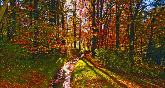 Jerry and Pat Donaho-North Carolina-Blue Ridge Mountains